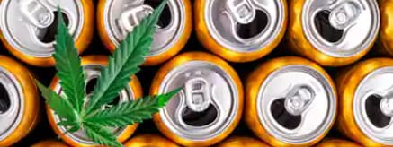 Cannabis Chemistry: Mixing Buds and Beverages